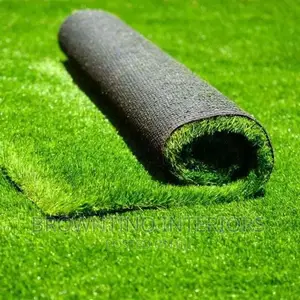 Carpet Grass