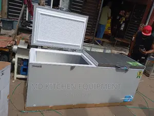 Inverter Freezer Scanfrost