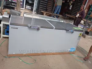Chest Freezer Scanfrost With Inverter
