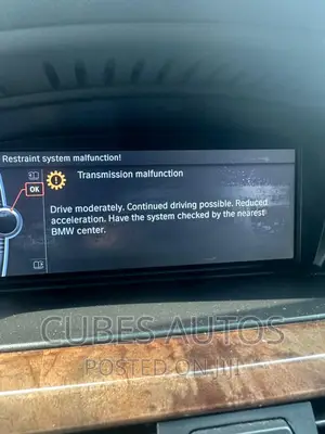 BMW Specialist With Home Service
