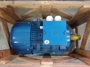Y160l-4 15kw/20hp Magnet Electric Motor