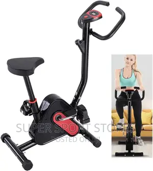 Affordable Stationary Magnetic Bike