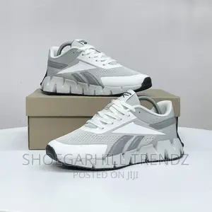 Reebok Zig Dynamica 2.0 Adventure