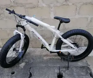 Big Tire Bicycle