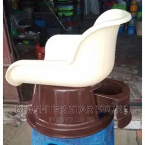 Papilon Children Potty Toddler Chair Potty