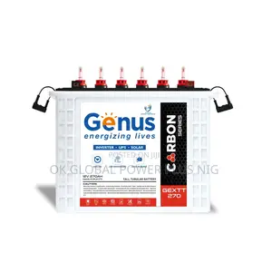 Genus 270ah/12v Carbon Tubular Battery