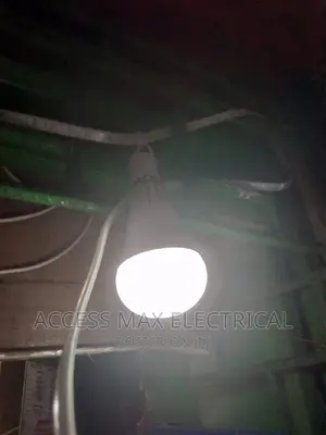 Warm White Bulbs