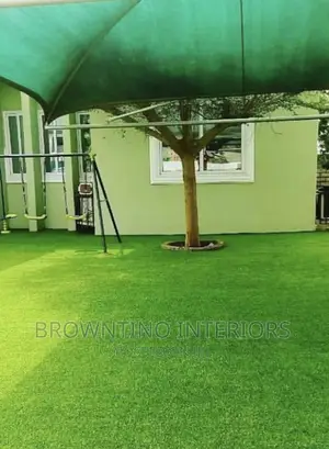 Carpet Grass or Artificial Grass