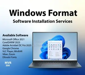 Software Installation and Recovery Services