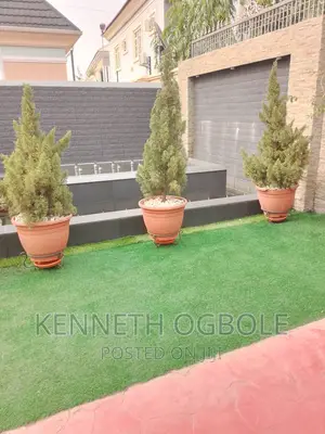 Natural Plants