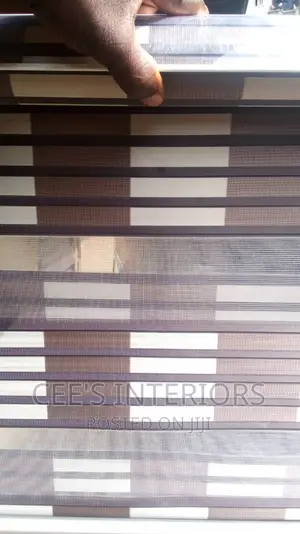 Day and Night Window Blinds.