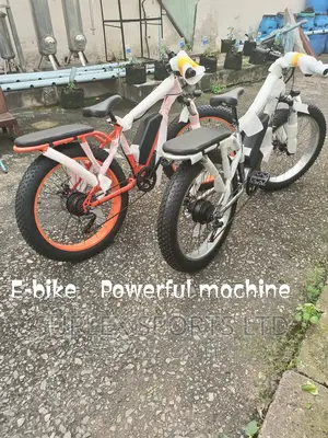 Electric Fat Tyre Bicycle