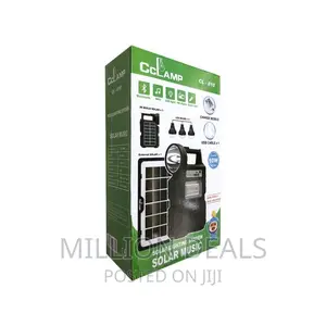 Solar Lighting System With Dual Solar Panel