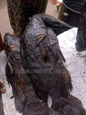 Freshly Dried SHINOSE Fish