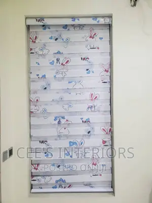 Day and Night Window Blinds