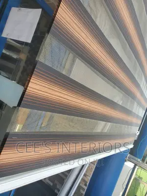 Day and Night Window Blinds