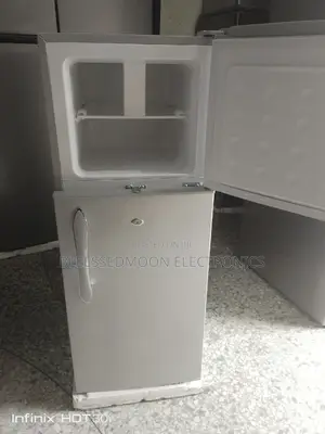 Skyrun Fridge Inverter Voltage Double Door 3 Years Warranty