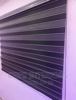 Day and Night Window Blinds