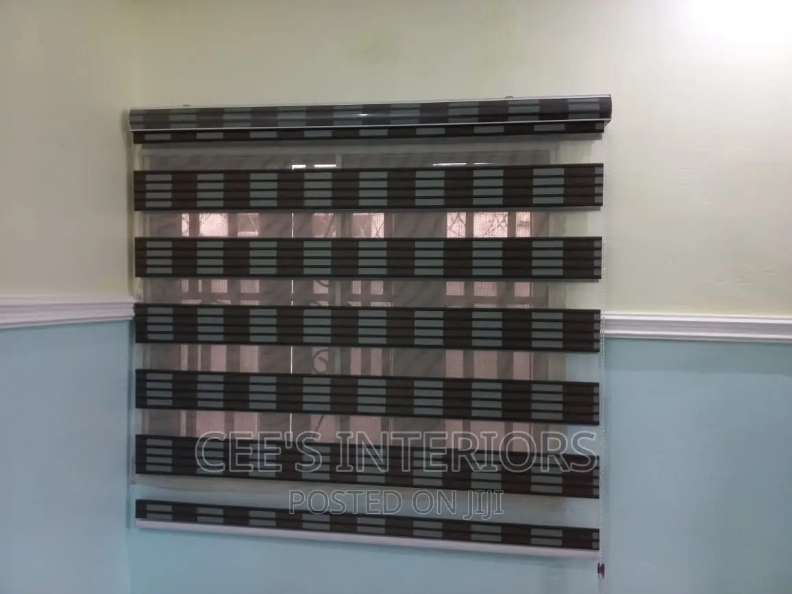 Day and Night Window Blinds Zebra