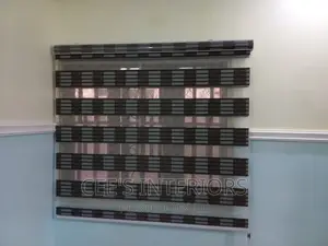 Day and Night Window Blinds Zebra
