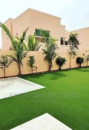 Carpet Grass or Artificial Grass