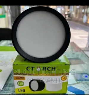 Modern LED Ceiling Opo Down Light