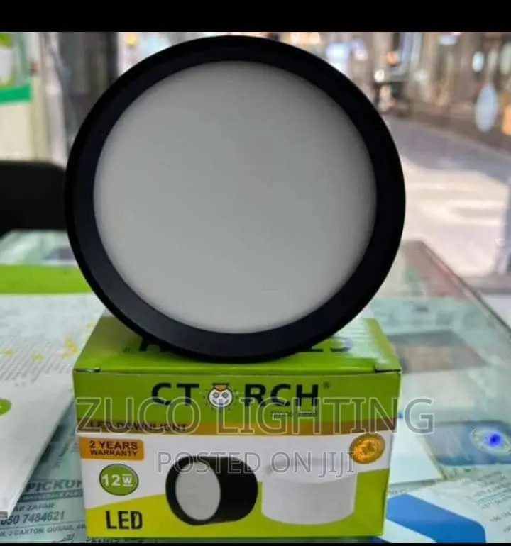 Modern LED Ceiling Opo Down Light
