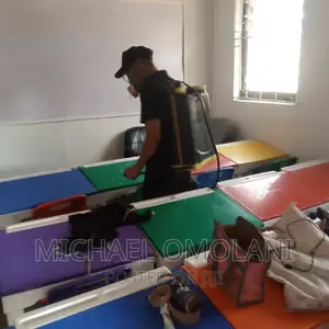 Fumigation Against Bedbugs Sabo Aba