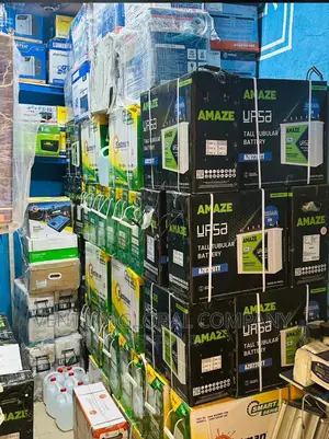 220v Tubular Battery