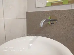 Wall Automatic Basin Tap