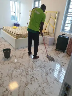 Professional Cleaning Services in Lagos