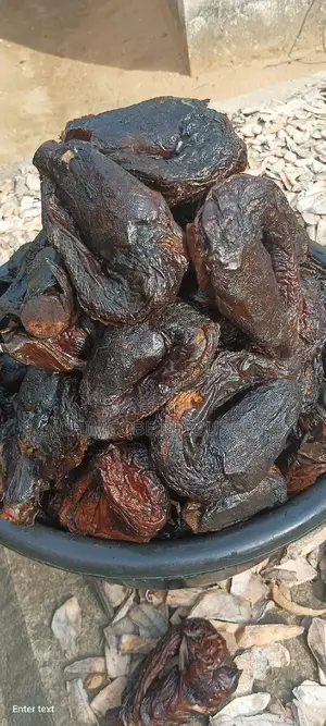 River Catfish