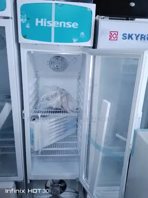 Hisense Standing Chiller Low Voltage