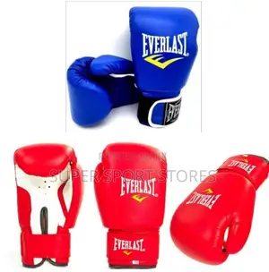 Everlast Punching Gloves