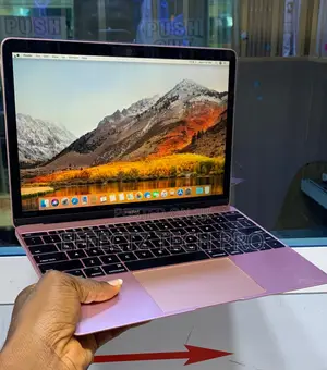 Laptop Apple MacBook 2017 8GB Intel Core I5 SSD 256GB