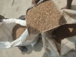 Stylo Seeds