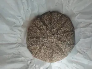 Gamba Seeds