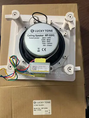 Original Lucky Tone Celling Speaker 40watts