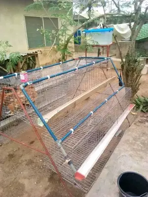 Battery Cage and Poultry Equipment
