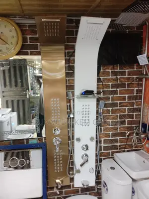 Standard Panel Shower