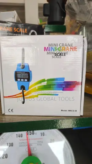 Mini Crane Scale 300kg