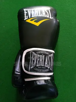 Professional Everlast Punching Gloves