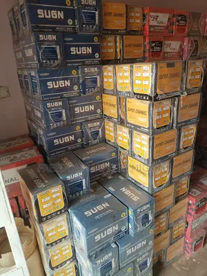 One Year Warranty Car Battery