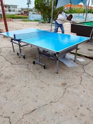 Ajoola Outdoor Table Tennis