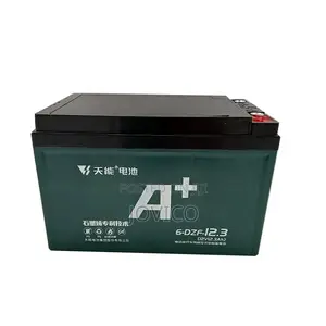 Electric Bike Lead Acid Battery (48v 12ah)