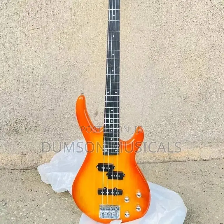 5 Strings Bass Guitar 