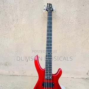 5 Strings Bass Guitar 