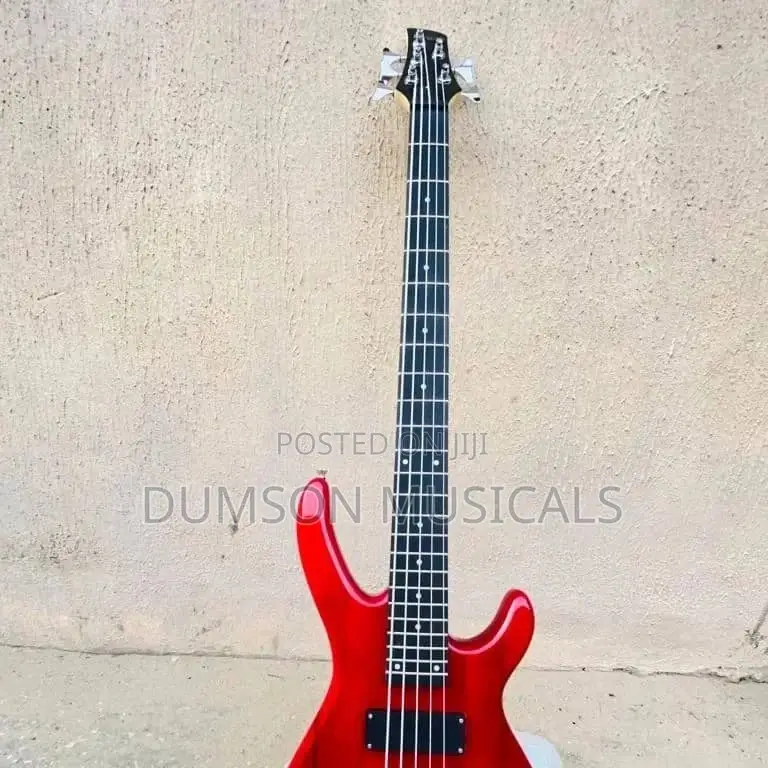 5 Strings Bass Guitar 