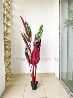 Artificial Plants/Flowers | Interior Plants Wholesale
