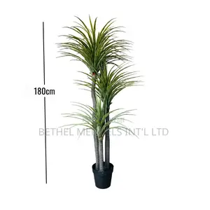 Artificial Plants/Flowers/Trees | 180cm Yucca Plant for Sale